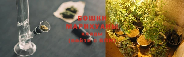шишки Кулебаки