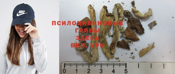 а пвп мука Ладушкин