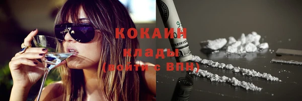 шишки Кулебаки