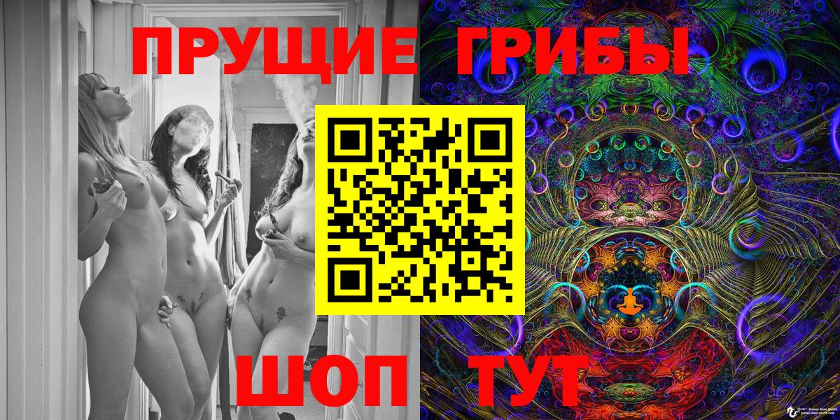 Галлюциногенные грибы Cubensis Курчатов