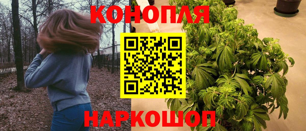 Каннабис White Widow  Каннабис AK-47  Конопля сатива  Курчатов  Вход с VPN 